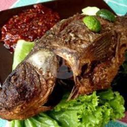 Paket Ikan Mas Bakar