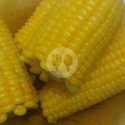 Jagung Rebus 4 Potong