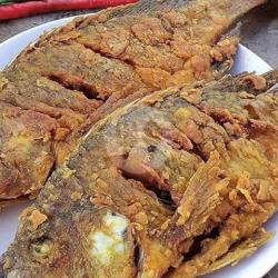 Ikan Nila Crispy (saja)