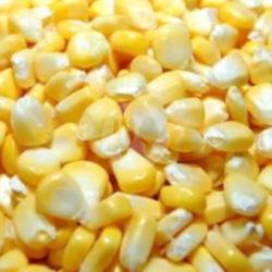 Jagung Pipil Manis