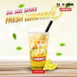 Fresh Lemonade - Big Series