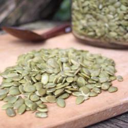 Pumpkin Seed