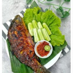 Ikan Mas Bakar Tanpa Nasi