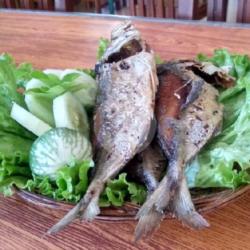 Ikan Gembung Sambal,lalapan