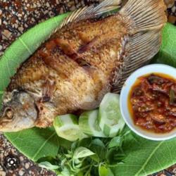 Lalapan Ikan Gurami Goreng