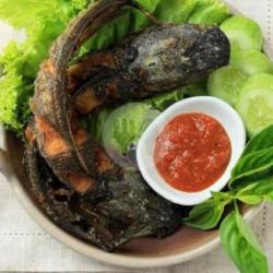 Ikan Lele Goreng   Sambel   Lalapan