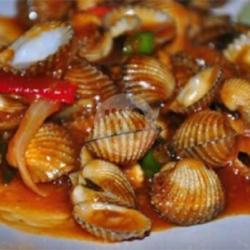 Kerang Dara Saus Padang