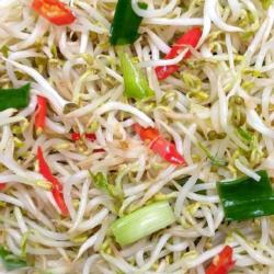 Tumis Taoge - Bean Sprout Stir Fry