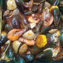 Kerang Hijau   Udang