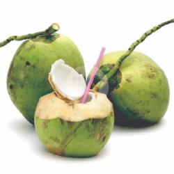 Kelapa Degan