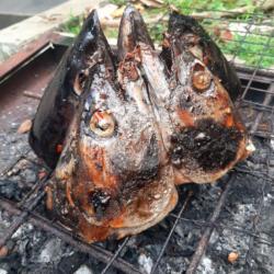 Kepala Cakalang Bakar