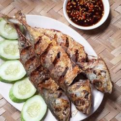 Ikan Banyar Goreng Besar