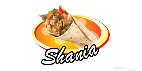 Kebab Burger Shania 1