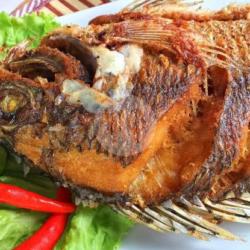 Ikan Gurame Saus Padang