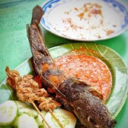 Nasi Biasa   Pecel Lele