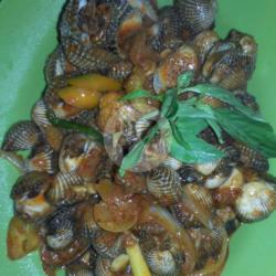 Kerang Saus Padang (porsi Besar)