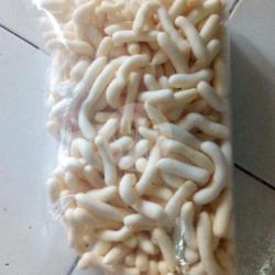 Pilus Ikan