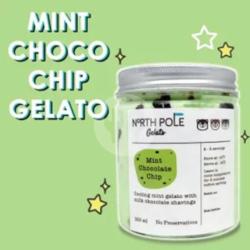 Mint Chocolate Chip Gelato 250 Ml