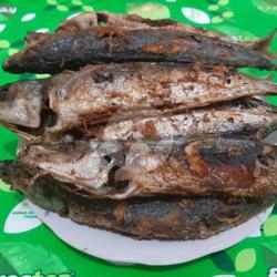 Ikan Kembung