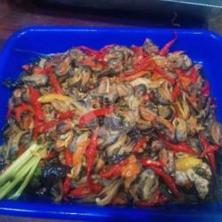 Kerang Cabe Merah