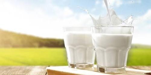 Ibnu Fresh Milk, Cakung