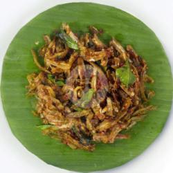 Teri Balado