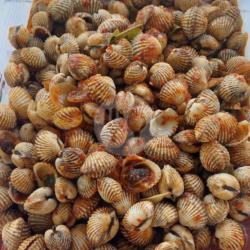 Kerang Saos Padang