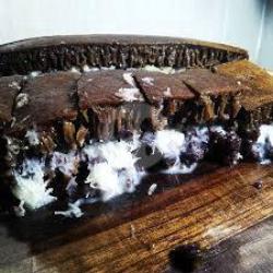 Black Forest Ketan Item Coklat