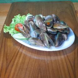 Kerang Hijau Rebus Large