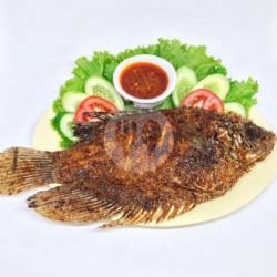 Ikan Gurami Bakar Madu