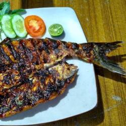 Ikan Patin Bakar   Nasi