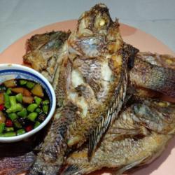 Ikan Nila Goreng.