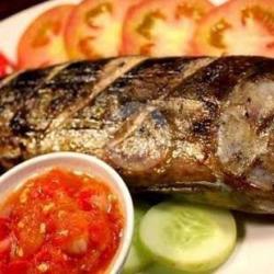 Nasi Ikan Cakalang Bakar/goreng