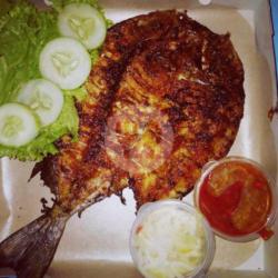 Ikan Bakar Baronang Besar Segar