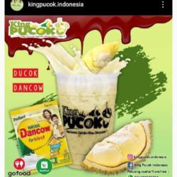 Alpokat Dencow Coklat Jumbo