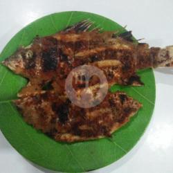 Ikan Kakap