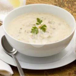 Chicken Cream Soup