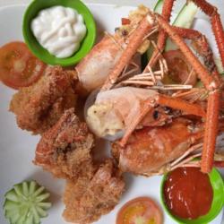 Udang Satang Eby Fry