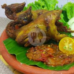 Burung Gemak Goreng