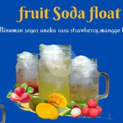 Fruit Soda Float