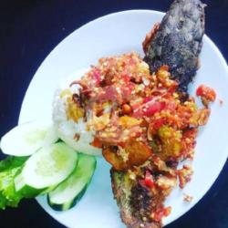 Ikan Lele Geprek