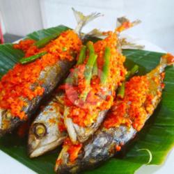 Gembung Kuring Sambal / Ekor