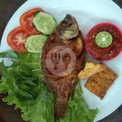 Lalapan Ikan Mujair Besar Sambal Mentah/ Mateng