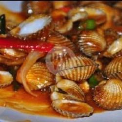 Kerang Dara