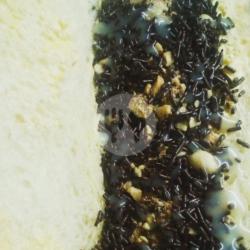 Roti Bakar Coklat Kacang Campur