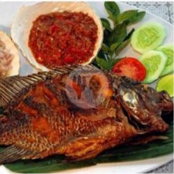 Paket Nasi Ikan Nila Goreng