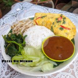 Nasi Pecel Telor Dadar