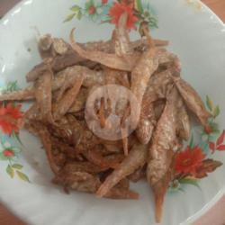 Ikan Bulu Ayam