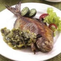 Ikan Dorang Goreng / Bakar