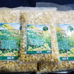 Jagung Pipil Manis Import